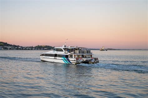Evening drive Auckland