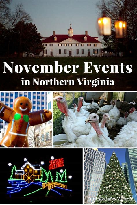 Events In Northern Va November 2024