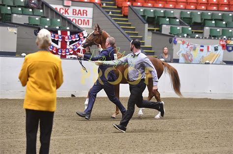 Events Ma Wed Aug 29 2024