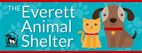 Discover Everett Animal Shelter's Lost and Found Program for Reuniting Pets with Their Owners