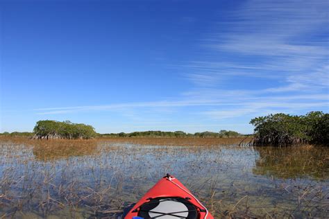 Everglades Activities