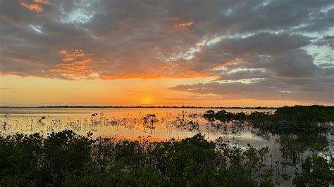 Everglades Experience
