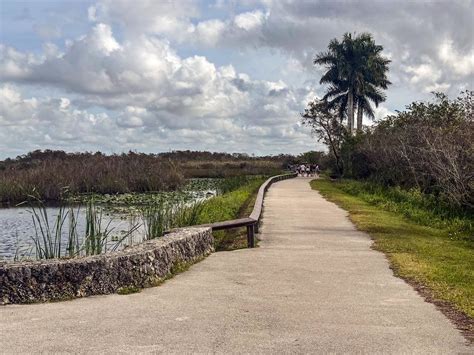 Everglades Walk