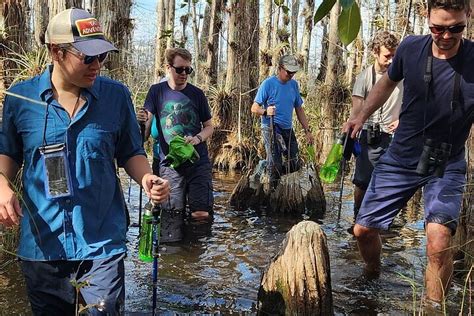 Everglades Wet Walk