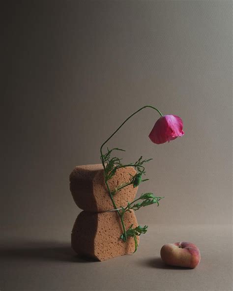 Everyday Objects and Abstract Concepts