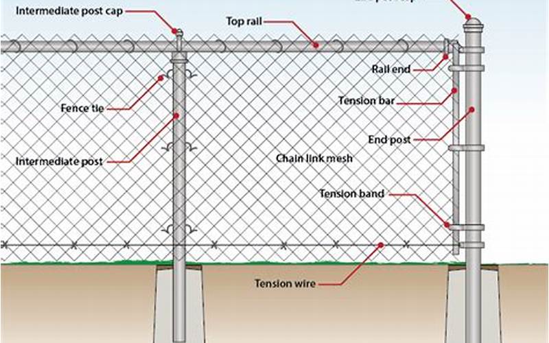 Everything You Need To Know About Privacy Fence With Wire