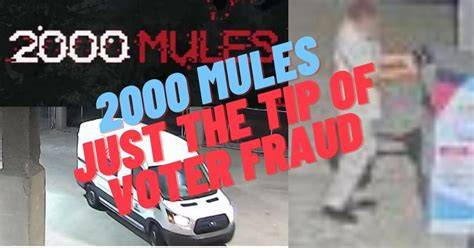 Evidence 2000 Mules