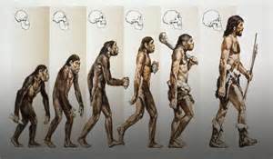 Evolusi