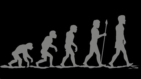 Evolution Image