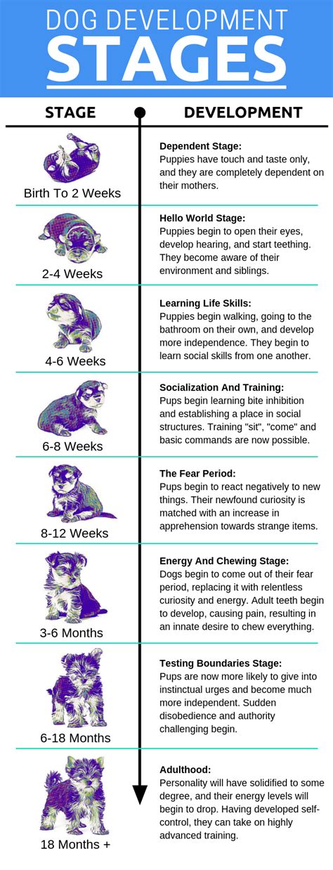 Evolution of Animal Training