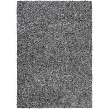 Evolution of the Shag