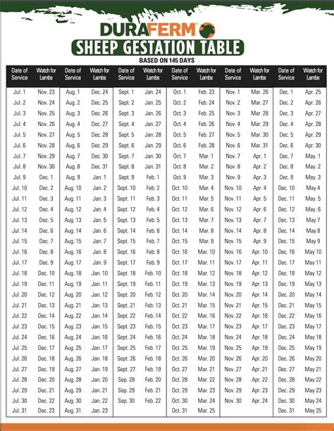 Ewe Gestation Calendar