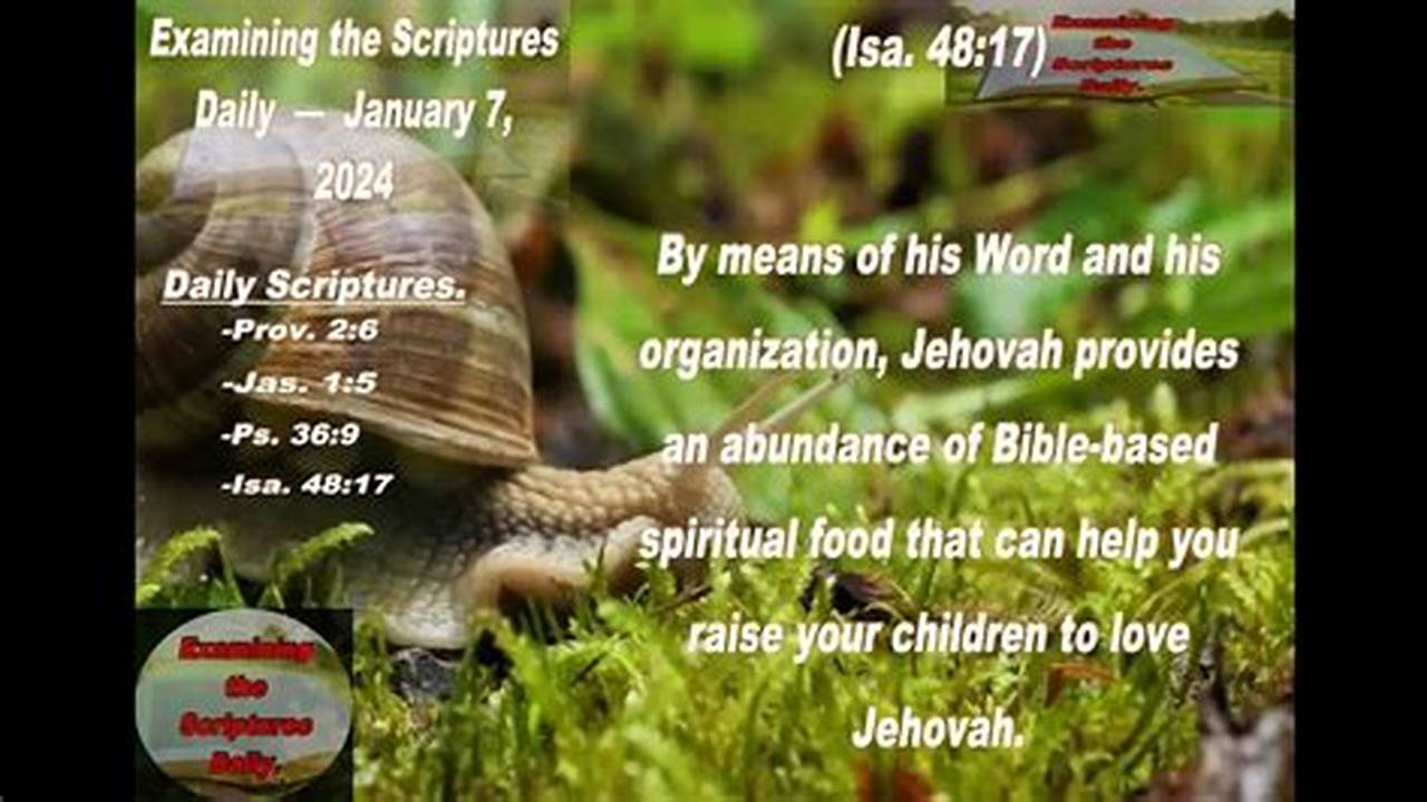 Examining The Scriptures 2024