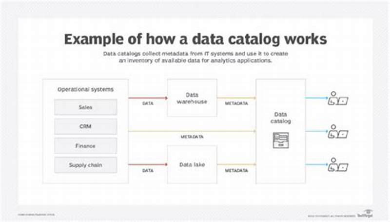 Example Data Catalog