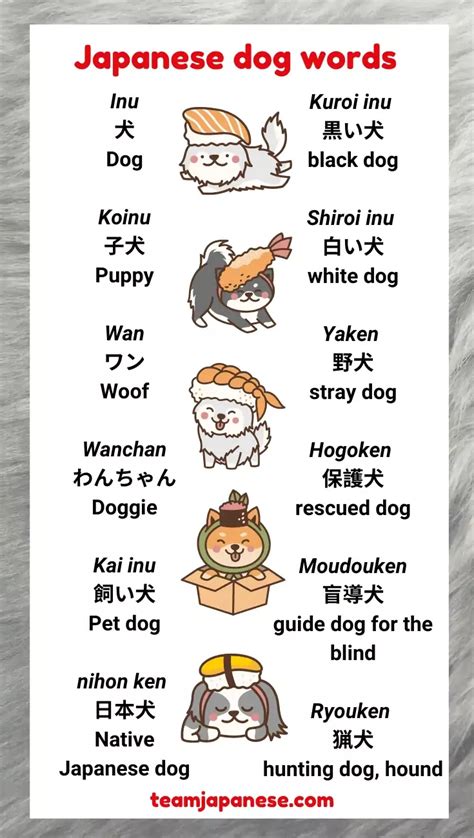 Example Of Japanese Speech Dog