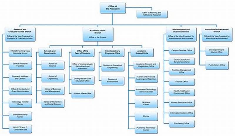 Example Of Organization Chart