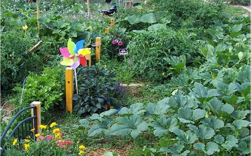 Examples Of Successful Sustainable Community Gardens