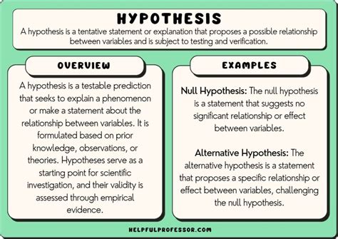 Examples Of Hypothesis For Research (7 Cases)
