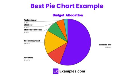 Examples For Pie Chart