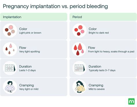 Examples Of Implantation Bleeding