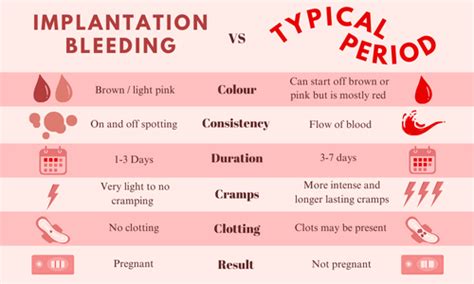 Examples Of Implantation Bleeding Pictures