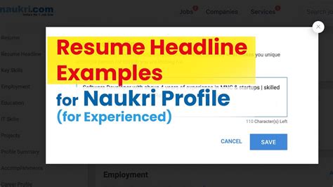 Examples Of Resume Headline In Naukri