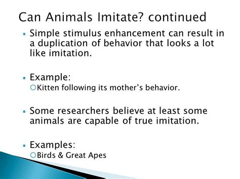Examples of Imitation in Animals