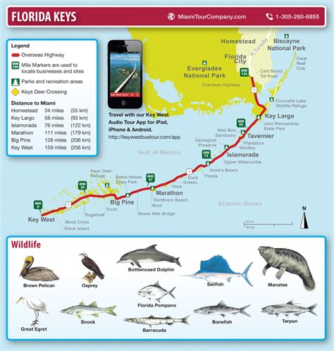 Florida Keys Islands Map