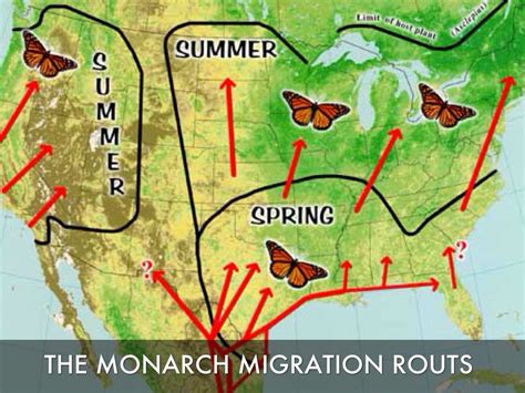 Map of Monarch Butterfly Migration