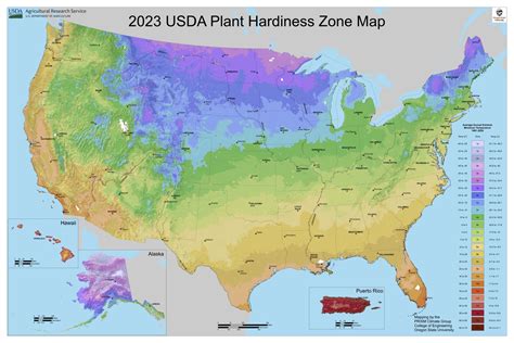 A map showing the growing zones in the USA