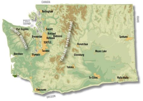 MAP implementation in various industries