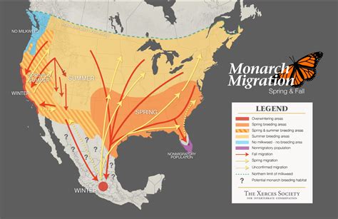 Migration of Monarch Butterfly Map Image