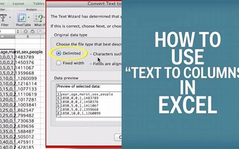 Excel Text To Columns Preview