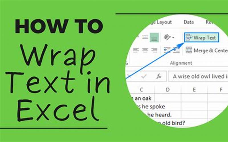 Excel Wrap Text
