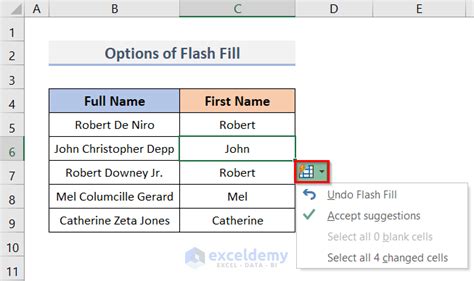 Excel Flash Fill Options