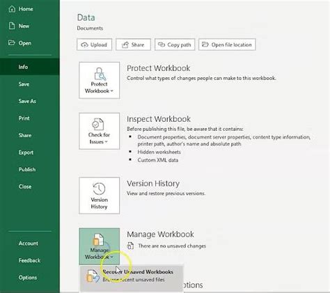 Excel Recent Files Fix: Recover Missing Documents