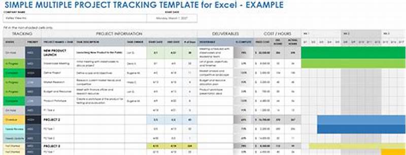 Excel Template Multiple Project Tracking