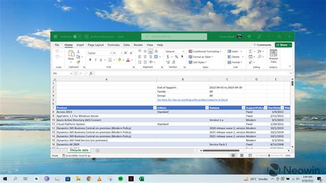Excel for Windows