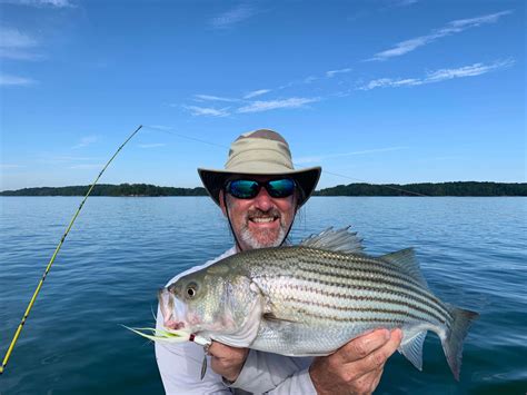 Excellent Fishing Conditions in Lake Hartwell