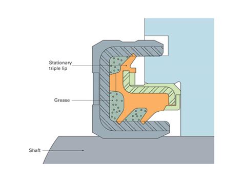 Exclusion and Sealing