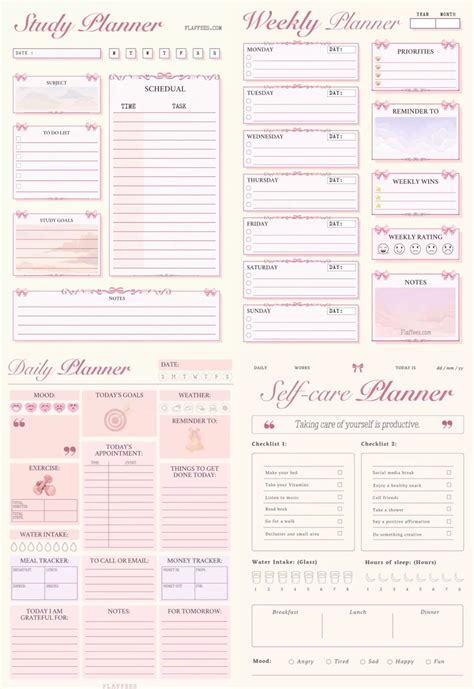 Exclusive Daily and Weekly Studio Content