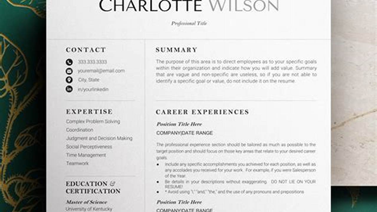Executive Resume Examples 2023