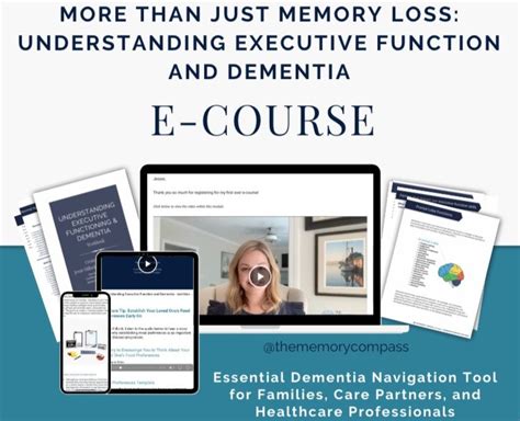 Executive Function Training for Dementia Patients
