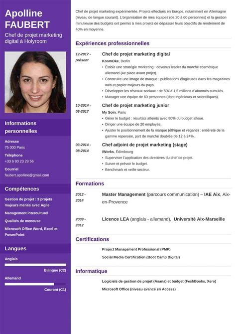 Exemple Bon Cv