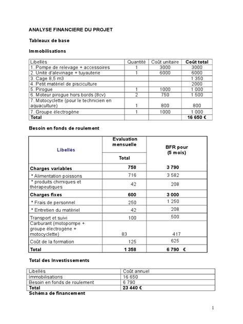 Comprendre L'analyse Financière D'un Projet