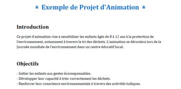 Qu'est-Ce Qu'un Projet D'animation?