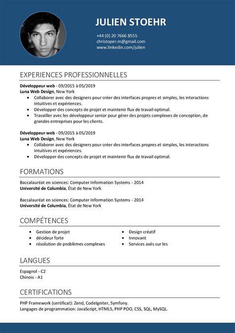 Exemple De Curriculum Vitae