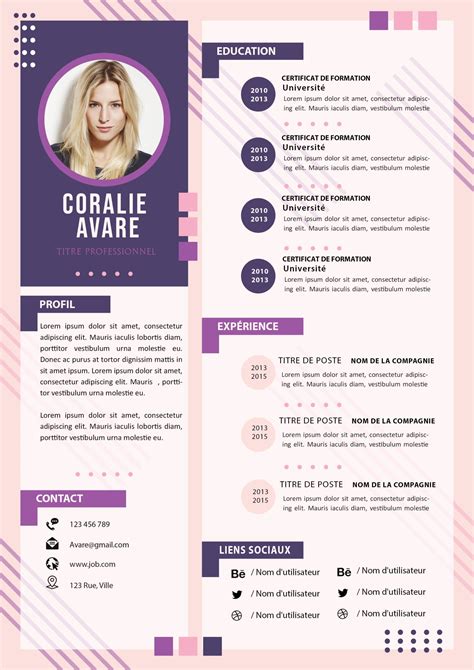 Exemple De Cv Original