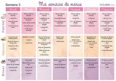 Exemples de Repas 80/20