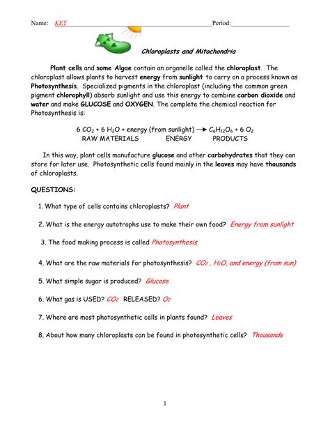Exercise And Mitochondria Worksheet Answers